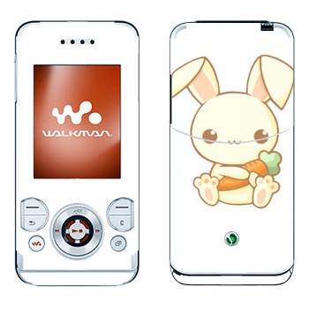 Sony Ericsson W580