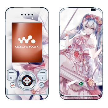   «  - »   Sony Ericsson W580