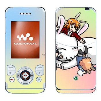 Sony Ericsson W580