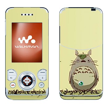 Sony Ericsson W580