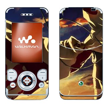 Sony Ericsson W580