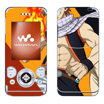 Sony Ericsson W580