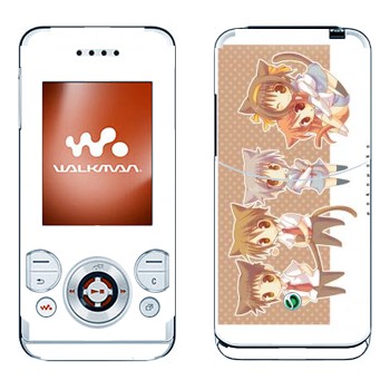 Sony Ericsson W580