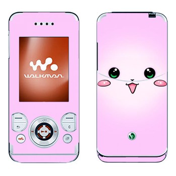 Sony Ericsson W580