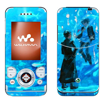 Sony Ericsson W580