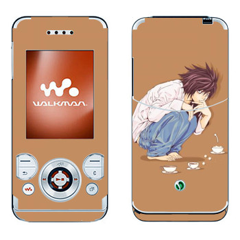 Sony Ericsson W580