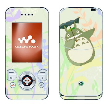   «  »   Sony Ericsson W580