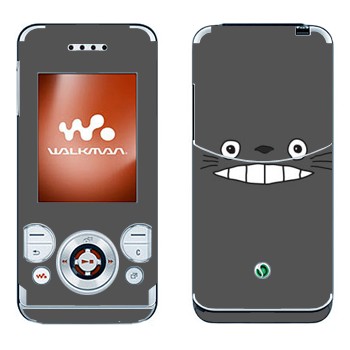 Sony Ericsson W580