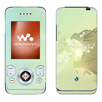 Sony Ericsson W580