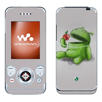 Sony Ericsson W580