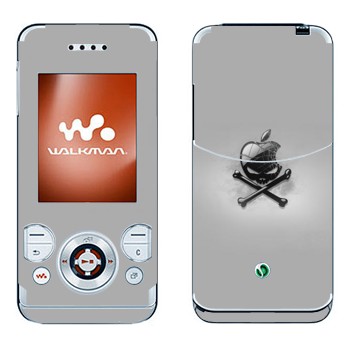 Sony Ericsson W580