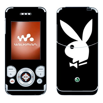 Sony Ericsson W580