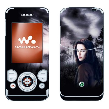   «   - »   Sony Ericsson W580