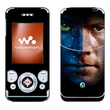 Sony Ericsson W580