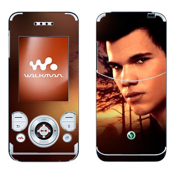   « - »   Sony Ericsson W580