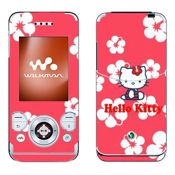 Sony Ericsson W580