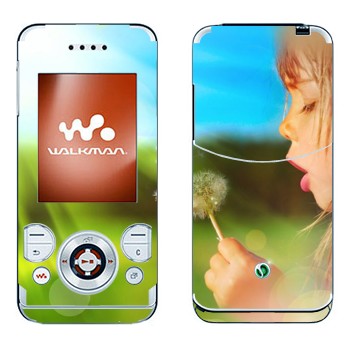   «  »   Sony Ericsson W580