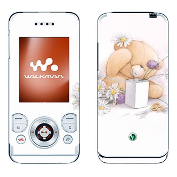 Sony Ericsson W580