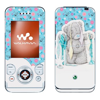 Sony Ericsson W580