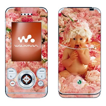   «  »   Sony Ericsson W580