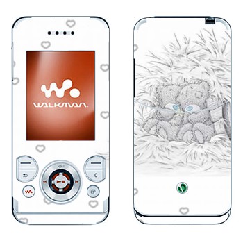 Sony Ericsson W580