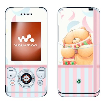 Sony Ericsson W580