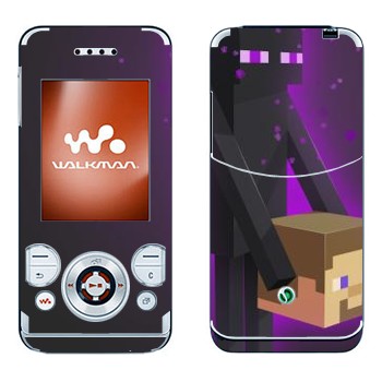 Sony Ericsson W580