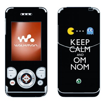 Sony Ericsson W580