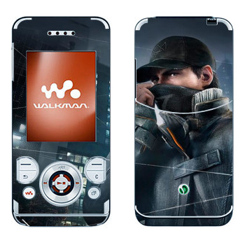 Sony Ericsson W580