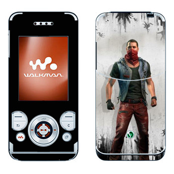 Sony Ericsson W580