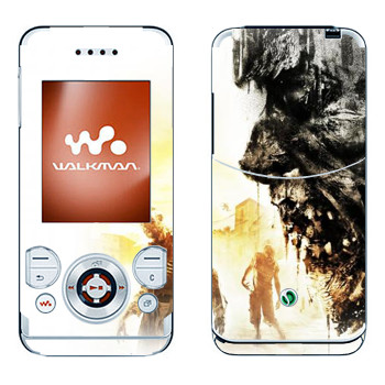 Sony Ericsson W580