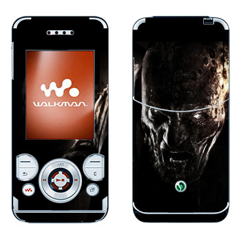 Sony Ericsson W580