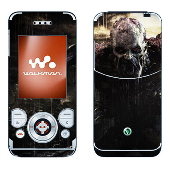 Sony Ericsson W580