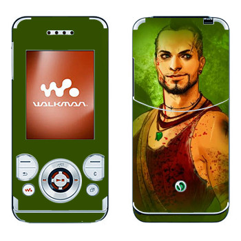 Sony Ericsson W580