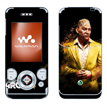 Sony Ericsson W580