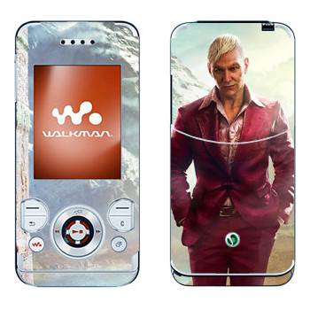 Sony Ericsson W580