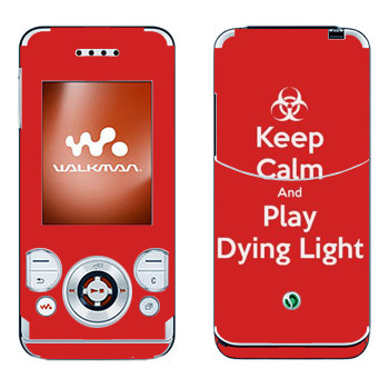 Sony Ericsson W580