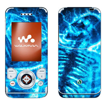 Sony Ericsson W580