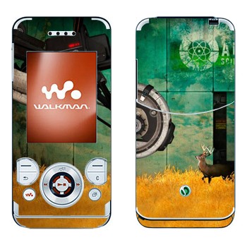 Sony Ericsson W580