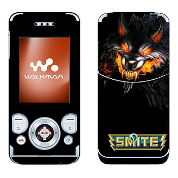 Sony Ericsson W580