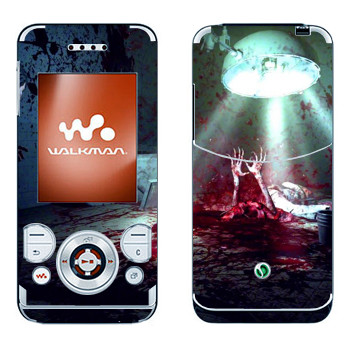 Sony Ericsson W580