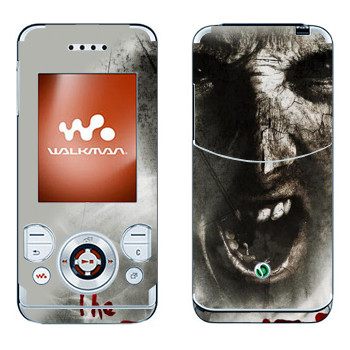 Sony Ericsson W580