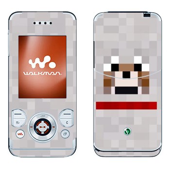 Sony Ericsson W580