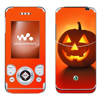 Sony Ericsson W580