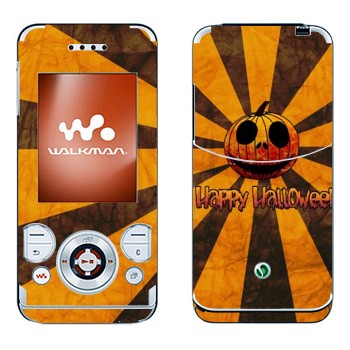 Sony Ericsson W580