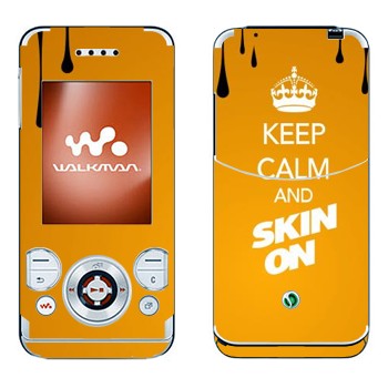 Sony Ericsson W580