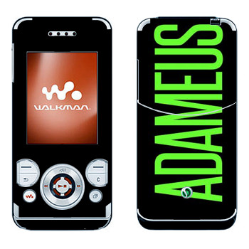 Sony Ericsson W580