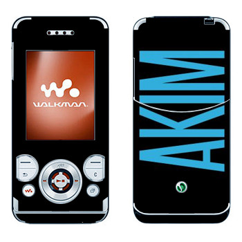 Sony Ericsson W580