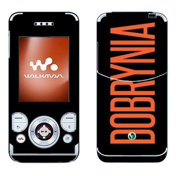 Sony Ericsson W580