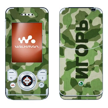 Sony Ericsson W580